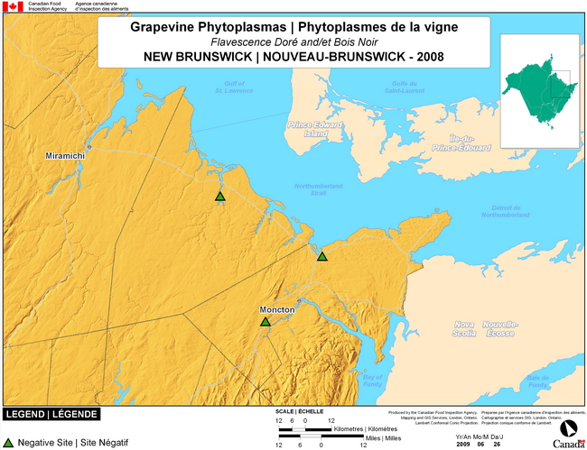 This map shows surveying sites for Grapevine Phytoplasma in northeast New Brunswick. There were 0 positive sites found in 4 sites.