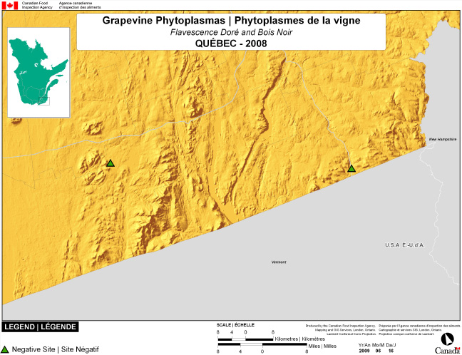 This map shows surveying sites for Grapevine Phytoplasma in Bromont and Dixville, Quebec. There were 0 positive sites found in 2 sites.