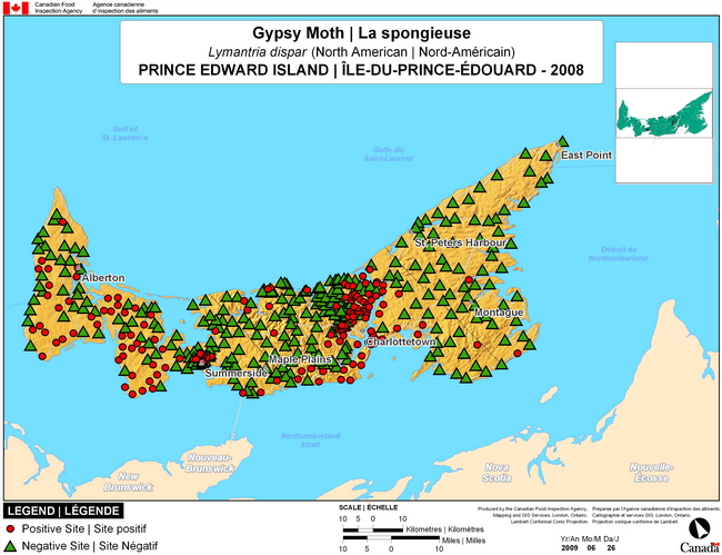 This map shows surveying sites for North American Gypsy Moth in Prince Edward Island. There were 172 positive traps found in 477 traps.
