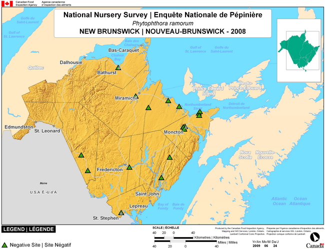 This map shows surveying sites for Phytophthora ramorum in New Brunswick. There were 0 positive sites found in 19 sites.
