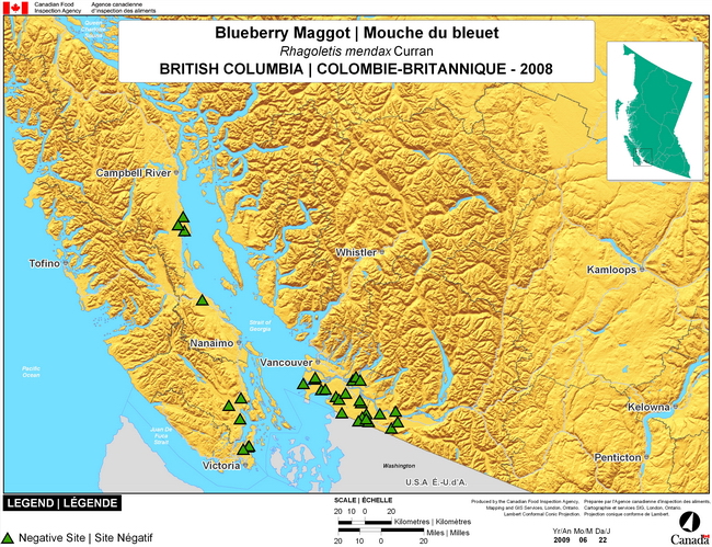 This map show surveying sites for Blueberry Maggot in southern British Columbia. There were 0 positive sites found in 34 sites.