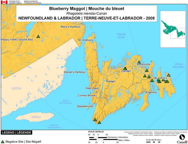 This map show surveying sites for Blueberry Maggot in Newfoundland. There were 0 positive sites found in 36 sites.