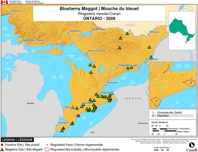 This map show surveying sites for Blueberry Maggot in southern Ontario. There were 0 positive sites found in 48 sites. The regulated municipalities are Charlottevill and Wainfleet.
