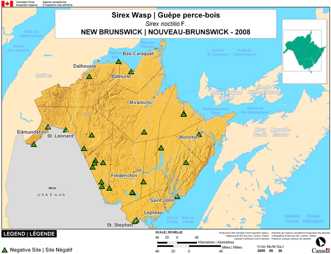 This map shows surveyin sites for European Wood Wasp in the province of New Brunswick. There were 0 positive locations found in 17 survey locations.