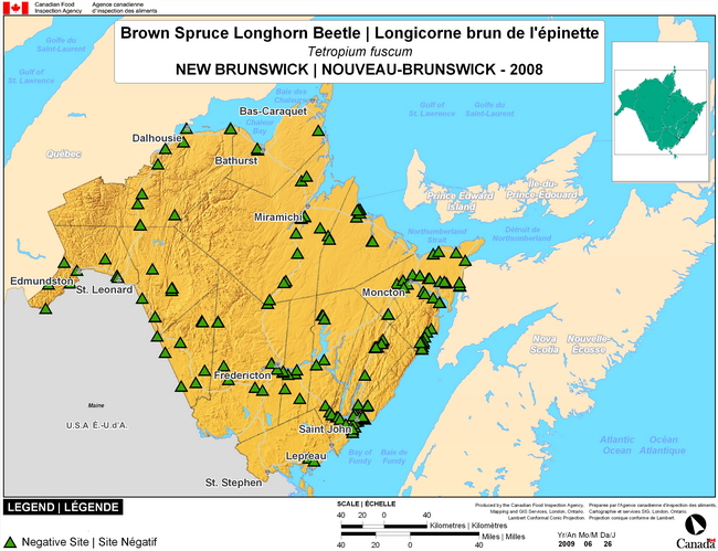 This map shows surveying sites for Brown Spruce Longhorned Beetle in New Brunswick. There were 0 positive sites found in 154 sites.