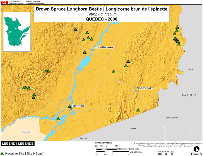This map shows surveying sites for Brown Spruce Longhorned Beetle in Quebec. There were 0 positive sites found in 29 sites.