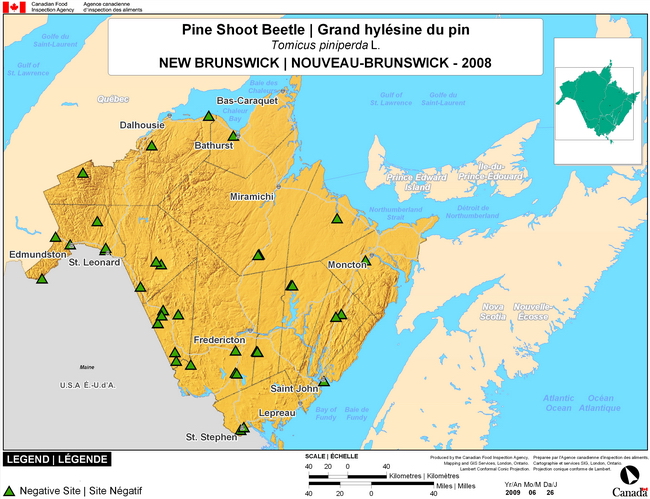 This map shows surveying sites for Pine Shoot Beetle in New Brunswick. There were 0 positive sites found in 30 sites.