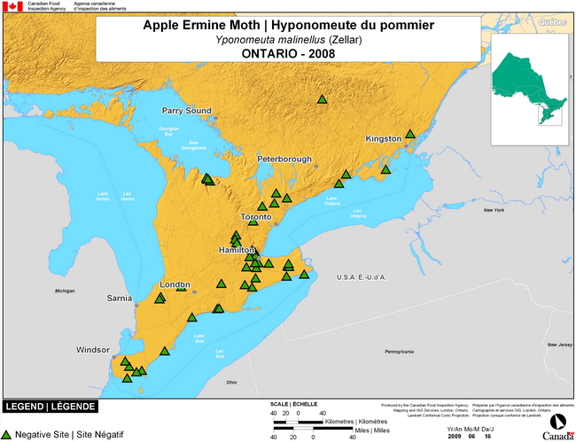 This map shows surveying sites for Apple Ermine Moth in southern Ontario. There were 0 positive sites found in 51 sites.