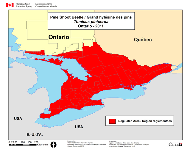 2011 Map of the Pine Shoot Beetle regulated area within Ontario