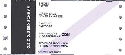 Tag - Organisation for Economic Cooperation and Development tags - Pre-basic seed (white with black text and violet stripe) - back view