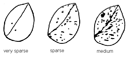 Stipule marbling density - very sparse, sparse and medium.
