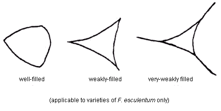 Image - Degree of Seed Filling - Left to right: well-filled, weakly-filled, very-weakly filled