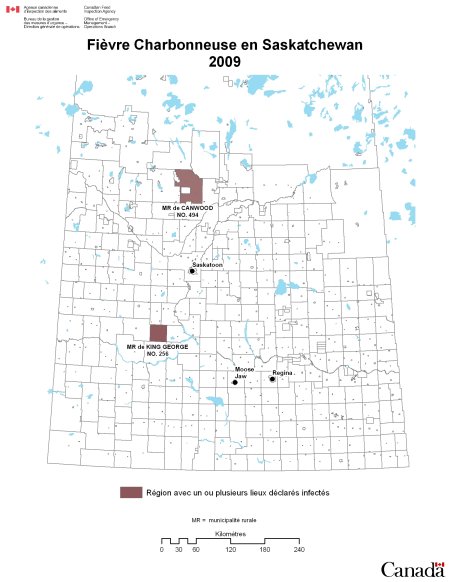 Cas de fièvre charbonneuse au printemps et à l’été 2009 - Saskatchewan
