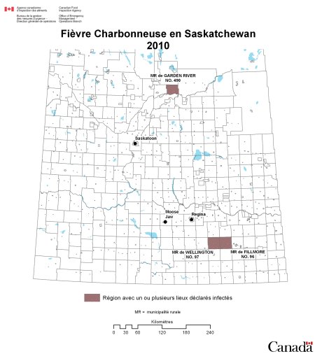 Cas de fièvre charbonneuse 2010 - Saskatchewan