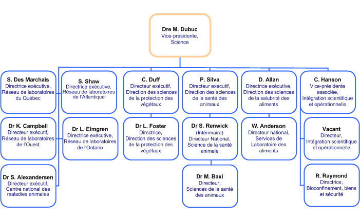 Flowchart - Direction générale des Sciences. Explanation of the chart is below