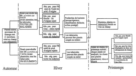 Organigramme: Production de pommes de terre de semence Pré-Élite à partir d'autres sources que le matériel nucléaire (équivalent de matériel nucléaire).