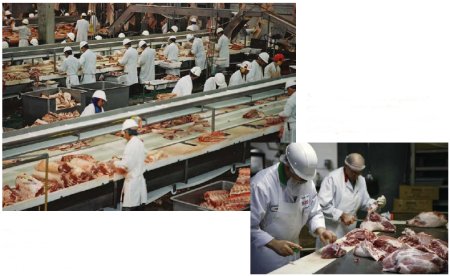 image - Inspection systems are in place to monitor hygienic practices for food processing establishments in Canada, including meat processing plants