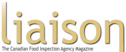 liaison magazine header