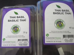 Country Herbs - Basilic Thaï