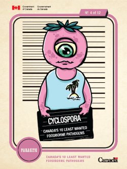 Cyclospora