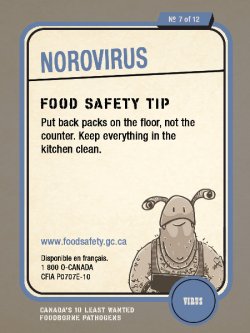 Norovirus