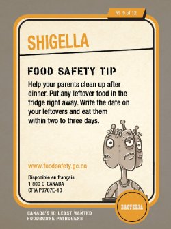 Shigella