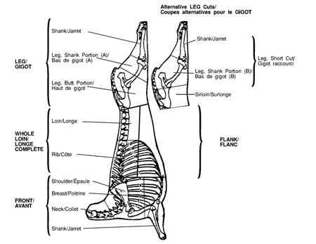 Diagram of meat cuts - Side