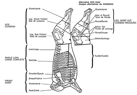 Image - Diagram of Meat Cuts