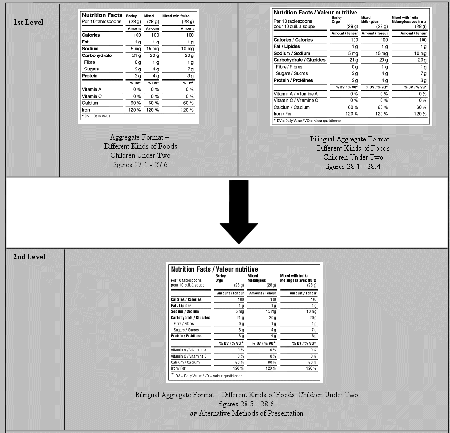 This image shows the two levels of Size of Format [B.01.463].