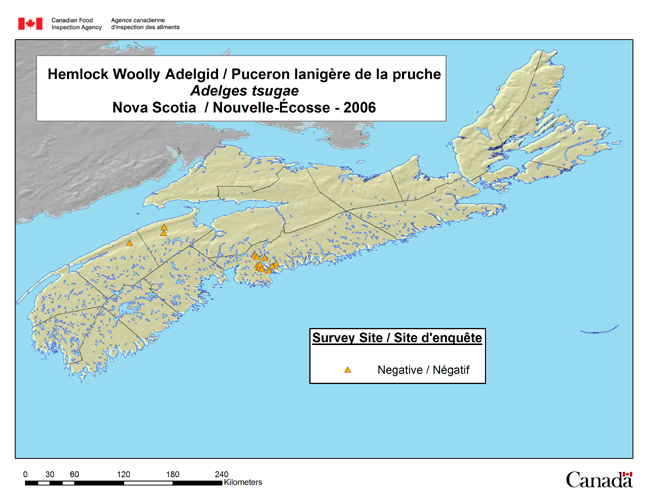 Cette carte illustre les sites de l'enquête sur l'Adelges tsugae en Nouvelle-Écosse en 2006.
