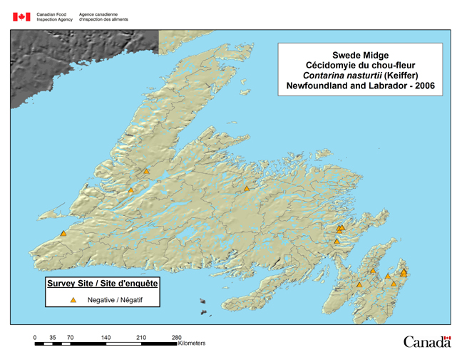 Cette carte illustre les sites de l'enquête sur la cédidomyie du chou-fleur à Terre-Neuve-et-Labrador en 2006. Quinze sites ont été inspectés et se sont tous révélés négatifs.