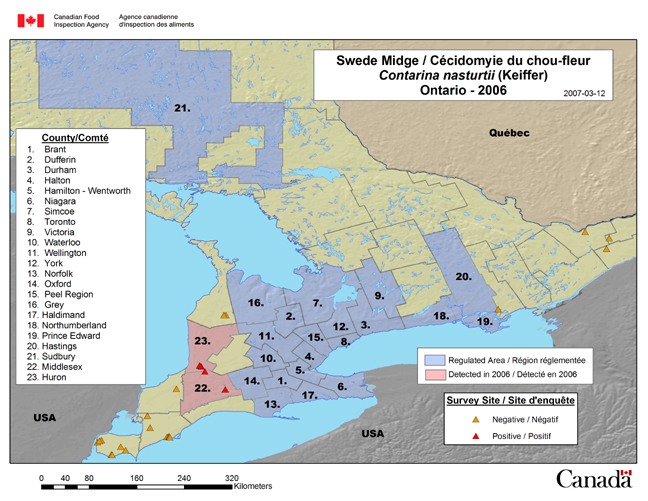 Cette carte illustre les sites de l'enquête sur la cécidomyie du chou-fleur en Ontario en 2006.
