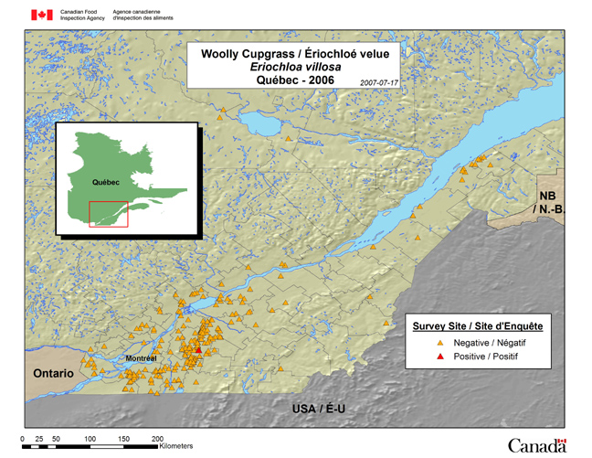 Cette carte présente les sites de l'enquête sur l'érichloée velue (Eriochloa villosa) au Québec en 2006.