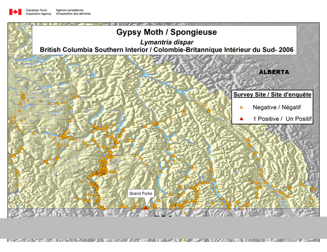 Cette carte montre les sites de l'enquête sur la spongieuse menée dans la région intérieure de la Colombie-Britannique.