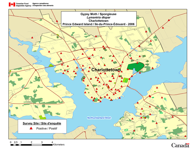 Cette carte montre les sites de la campagne de piégeage de la spongieuse menée à Charlottetown en 2006.