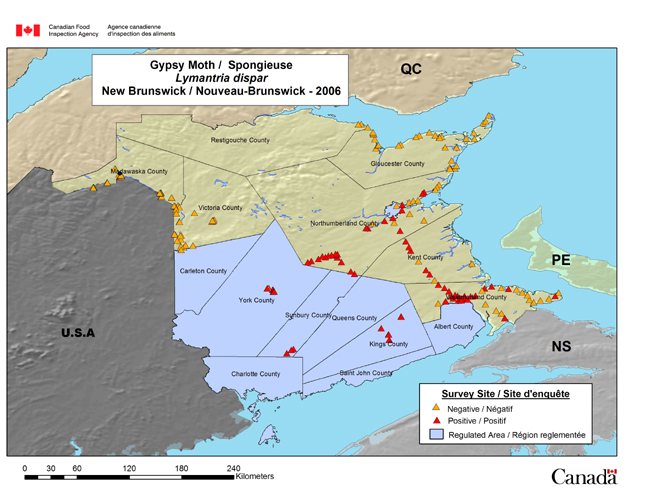 Cette carte montre les sites de la campagne de piégeage de la spongieuse menée au Nouveau-Brunswick en 2006.