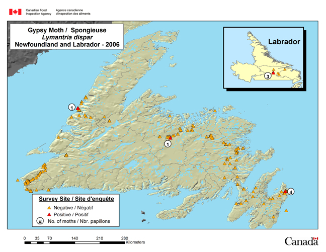 Cette carte montre les sites de la campagne de piégeage de la spongieuse menée à Terre-Neuve-et-Labrador en 2006.