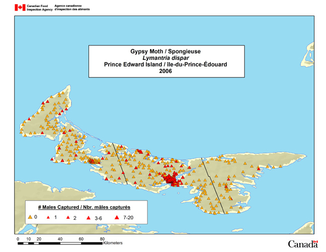 Cette carte montre les sites de la campagne de piégeage de la spongieuse menée à l'Île-du-Prince-Édouard en 2006.