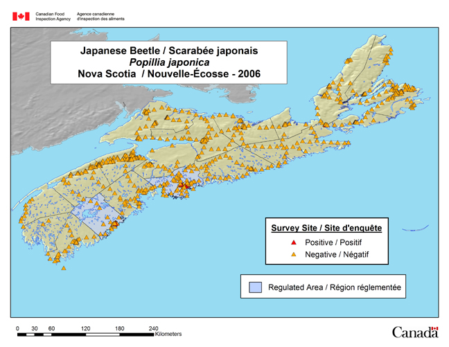 Cette carte montre les sites de l'enquête sur le scarabée japonais en Nouvelle-Écosse en 2006.