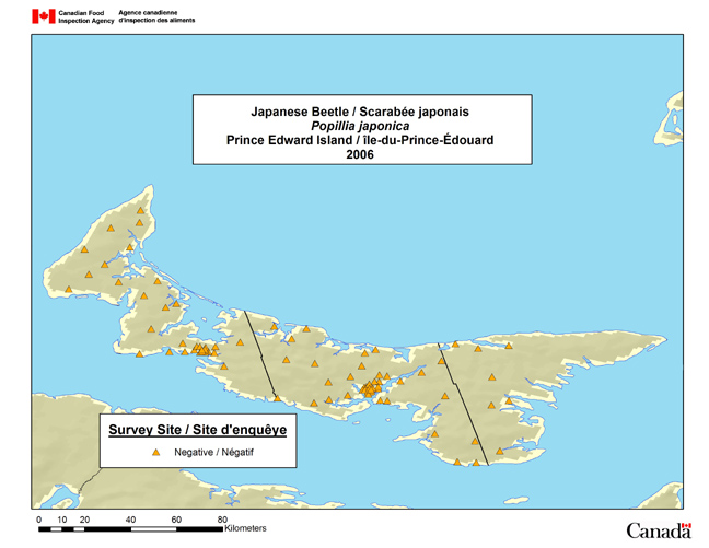 Cette carte montre les sites de l'enquête de dépistage du scarabée japonais à l'Île-du-Prince-Édouard en 2006.