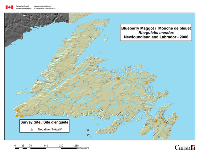 Cette carte présente les sites de l'enquête sur la mouche du bleuet à Terre-Neuve-et-Labrador en 2006.