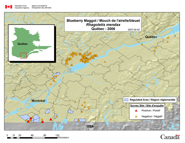 Cette carte présente les sites de l'enquête sur la mouche du bleuet au Québec en 2006.