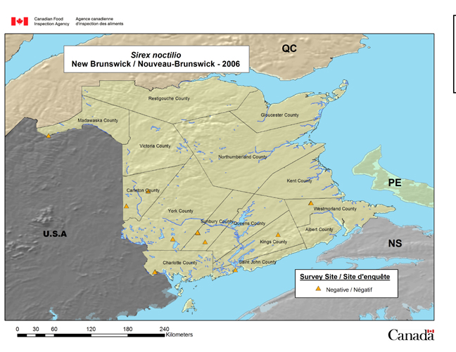 Cette carte illustre les résultats de l'enquête sur le sirex menée au Nouveau-Brunswick en 2006.