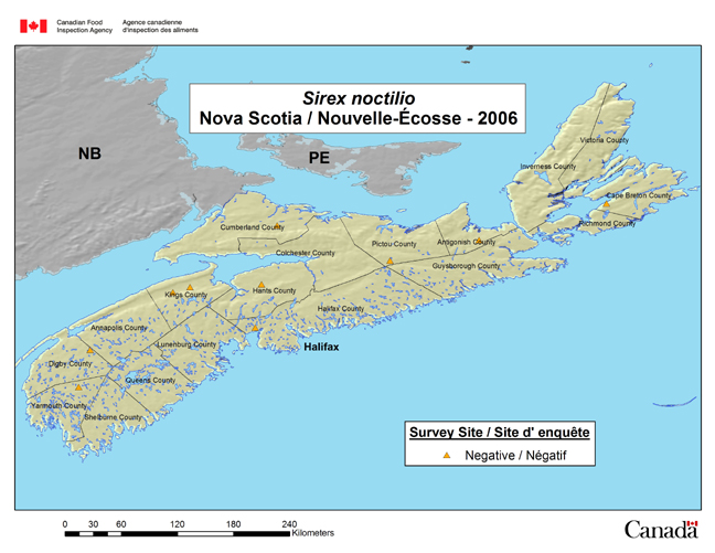 Cette carte illustre les résultats de l'enquête sur le sirex menée en Nouvelle-Écosse en 2006.