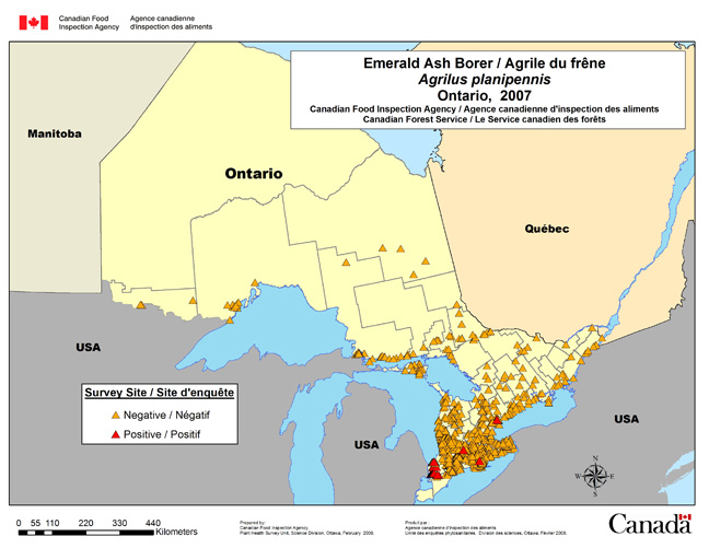 Carte d'enquête de Agrilus planipennis, Ontario 2007