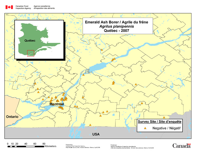 Carte d'enquête de Agrilus planipennis, Québec 2007
