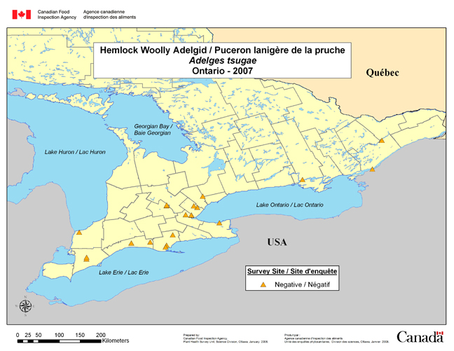 Carte d'enquête de Adelges tsugae, Ontario 2007
