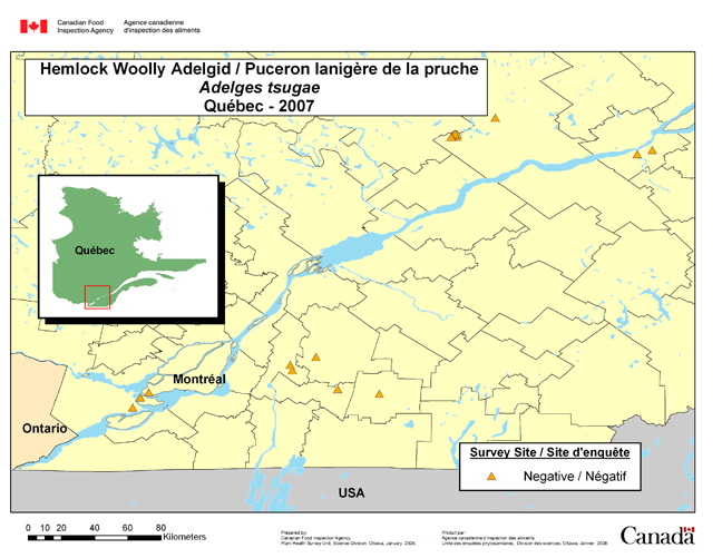 Carte d'enquête de Adelges tsugae, Québec 2007