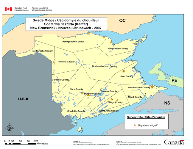Carte d'enquête de Contarinia nasturtii, Nouveau-Brunswick 2007