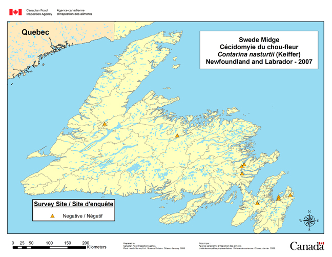 Carte d'enquête de Contarinia nasturtii, Terre-Neuve et Labrador 2007